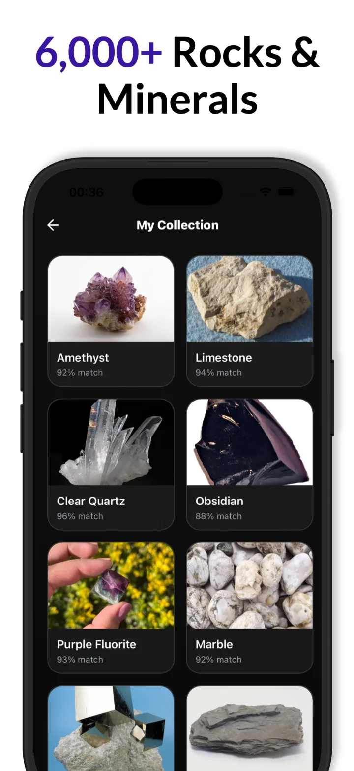 Rock Identifier collection view under 'My Collection' showing a grid of specimen cards and the banner '6,000+' rocks and minerals.